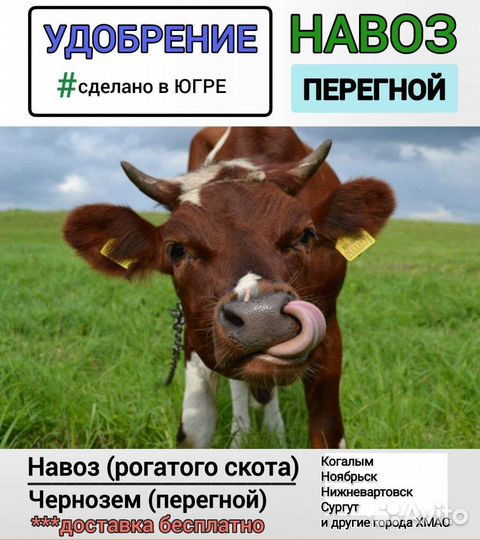 Удобрение, навоз, перегной (коровий)
