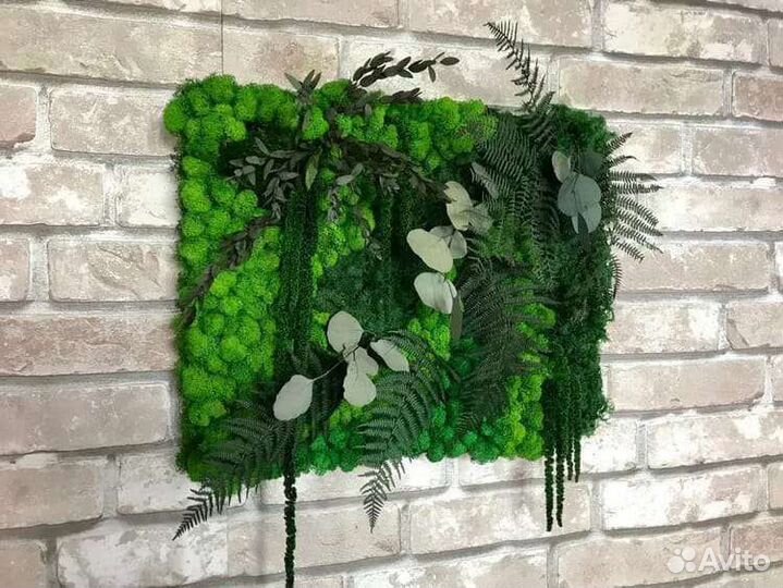 Мох стабилизированный оптом и в розницу