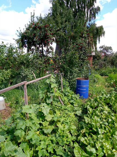 Дача 20 м² на участке 5,2 сот.