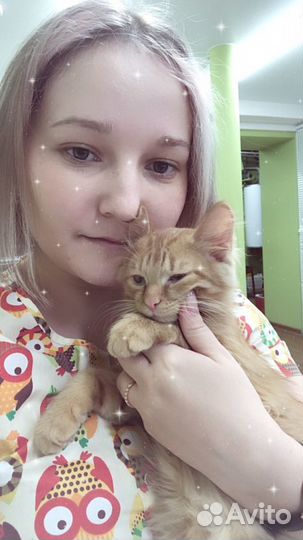 Ветеринарный врач на дом