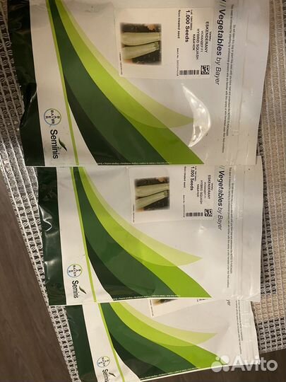 Семена кабачка