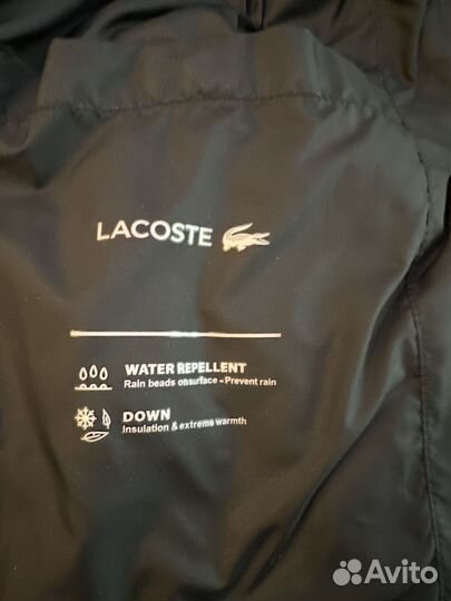 Куртка мужская lacoste