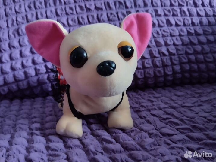 My little pony пинки пай и,chi chi love чихуахуа