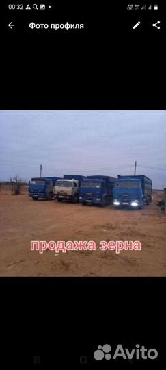Пшеница.Ячмень.Кукуруза