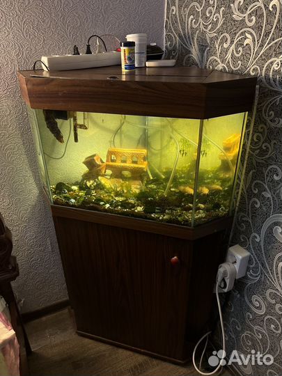 Аквариум