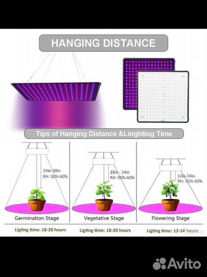 Фитолампа для растений