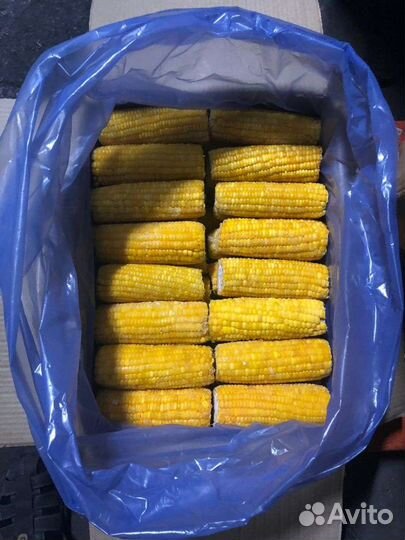 Сладкая кукуруза