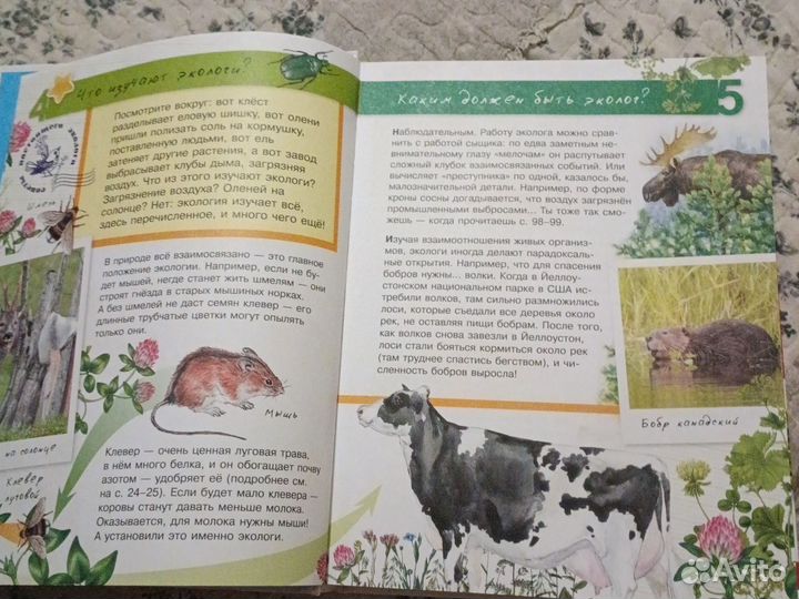 Большая энциклопедия юного эколога