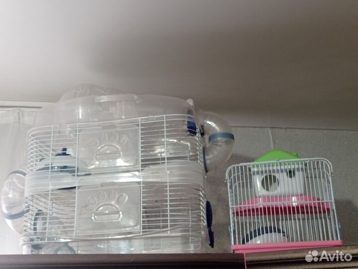 Клетка для джунгарика