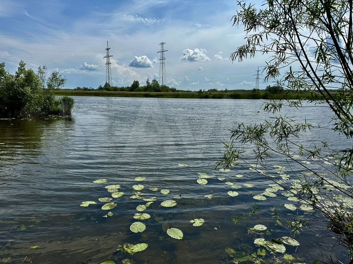 Участок 33 сот. (ИЖС)