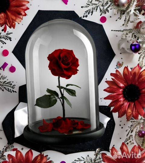 Стабилизированная Роза в колбе на 1 сентября