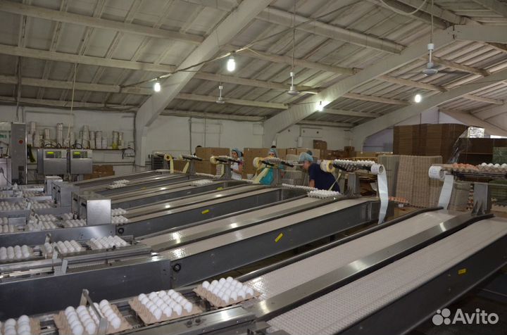 Грузчик на производство