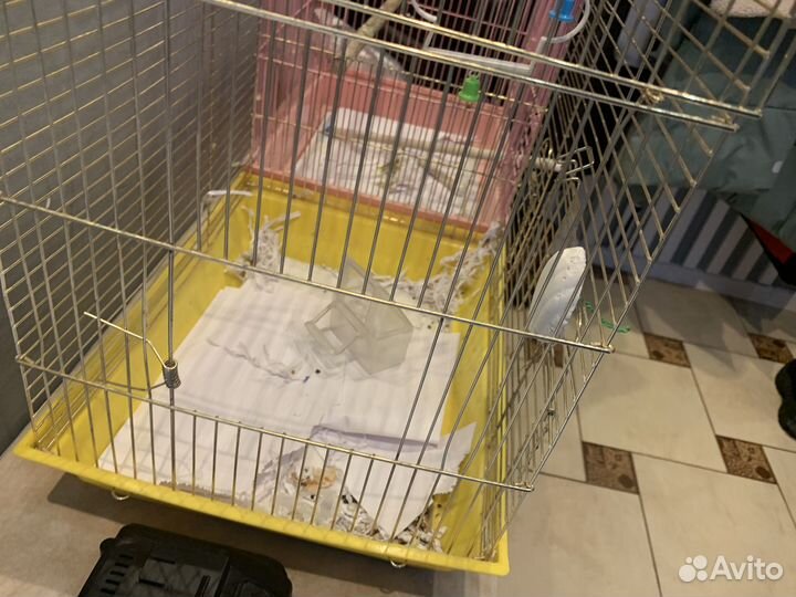 Двойная клетка