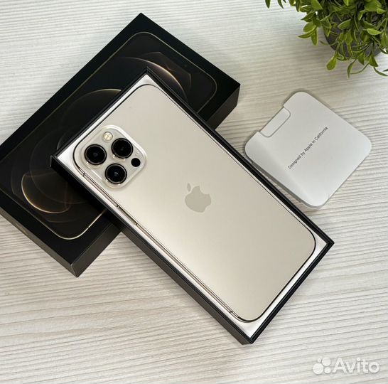 iPhone 12 Pro Max, 128 ГБ