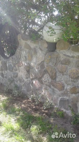 Ландшафтный дизайн -Бересклеты. Ромашки