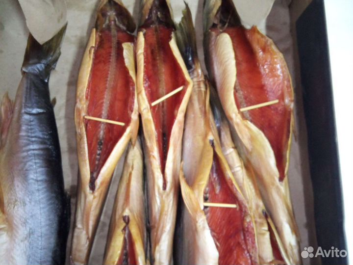 Рыба Голец х/к