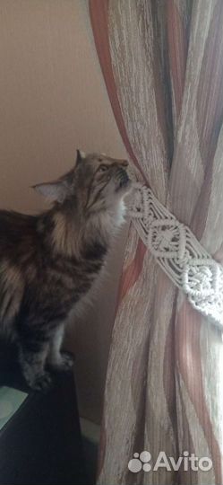 Интерьерные вещицы макраме