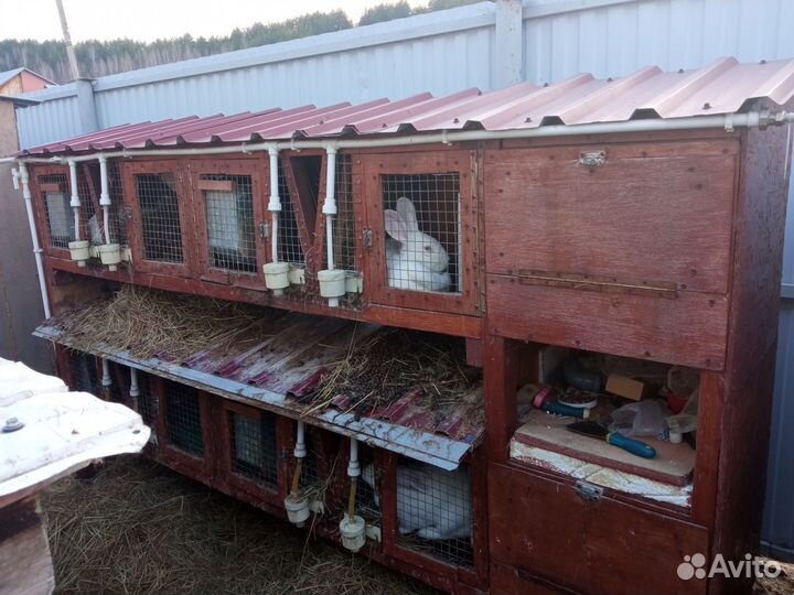 Клетки для кролика