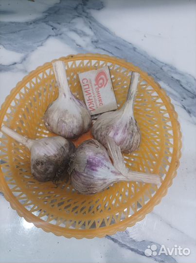 Чеснок на еду
