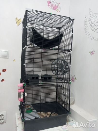 Клетка и крыски. Две девочки