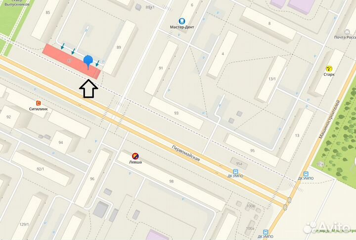 Фикус лирата