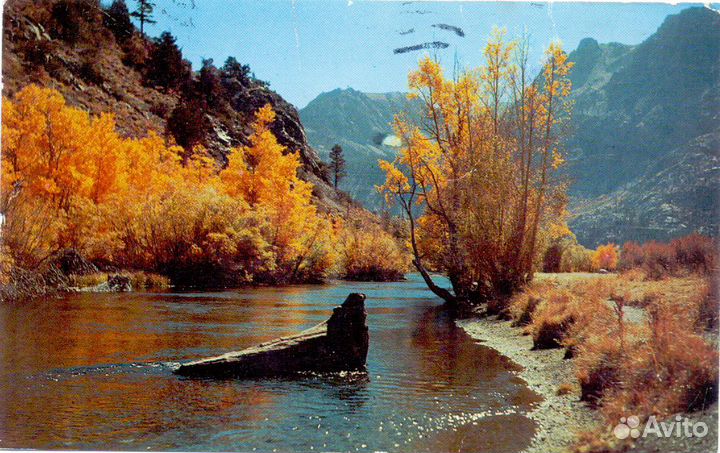 Почтовая открытка (США)