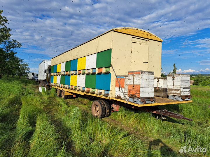 Мёд свежий (сбор-2023 г.) -с личной кочевой пасеки