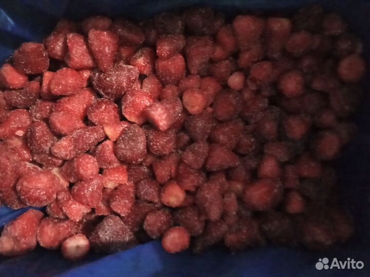 Голубика,клубника,калина, ежевика