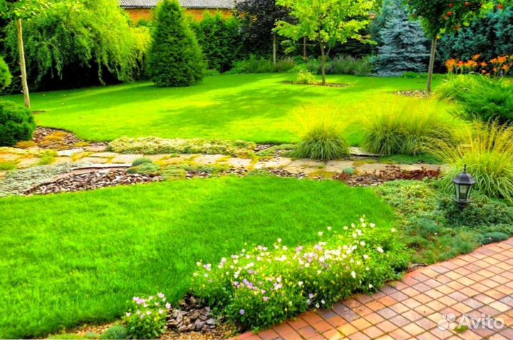 Рулонный газон 