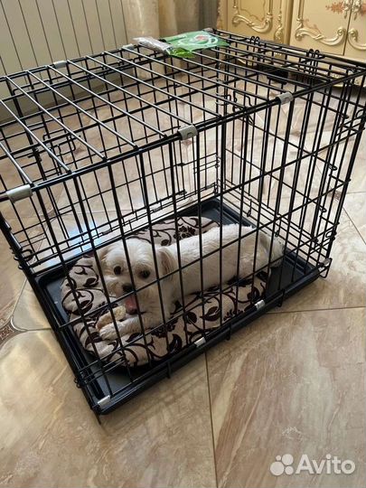 Клетка для собак N2 (63х46х50) ржд, переноска