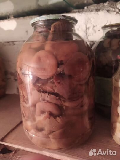 Грибы маринованные