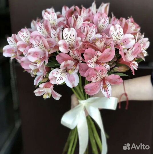 Альстромерия с доставкой