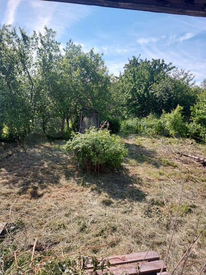 Участок 22 сот. (ИЖС)