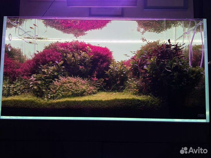 Задний фон для аквариума. Панель с подсветкой