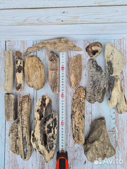 Дрифтвуд коряги набор