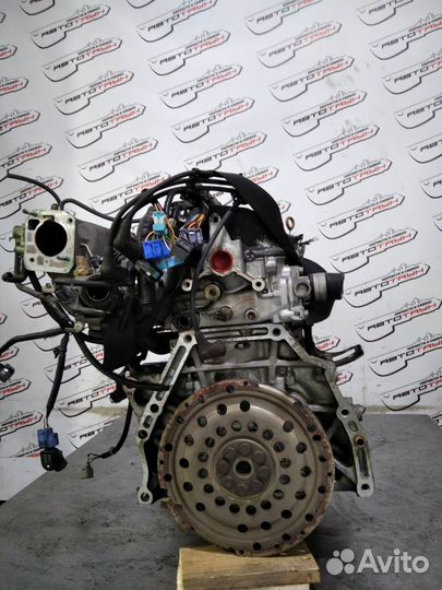 Двигатель honda F23A accord avancier odyssey CF6 CF7 CG3 CG5 RA3 RA4 RA6 RA7 TA1 TA2 sohc vtec 2WD 4