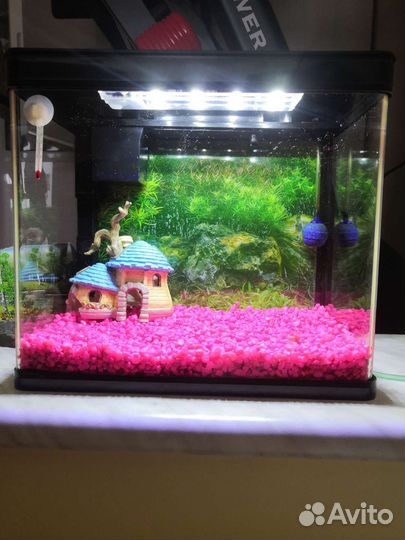 Аквариум 8-10 литров