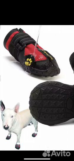 Ботинки для крупной собаки