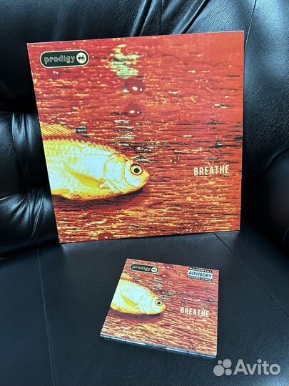 The prodigy LP CD single