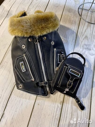 Одежда для собак