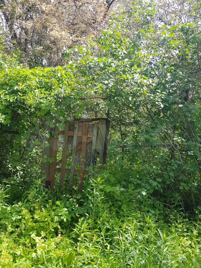 Участок 6 сот. (ИЖС)