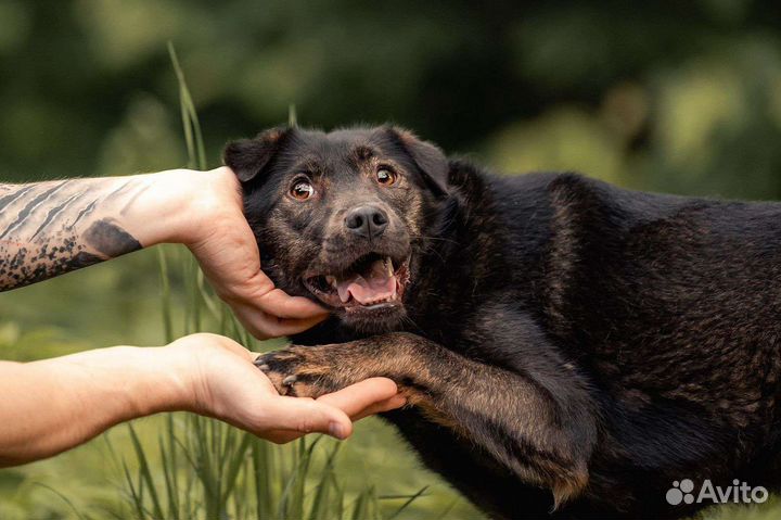 Солнечная Кайли ищет семью