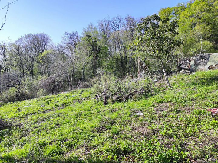 Участок 7,1 сот. (СНТ, ДНП)