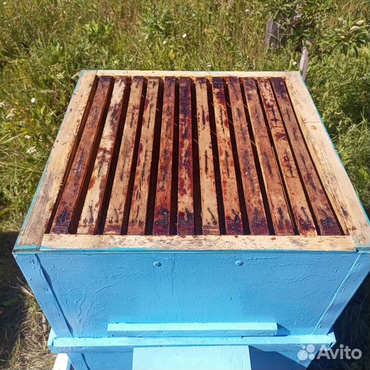 Двухкорпусные Ульи