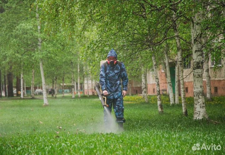 Уничтожение клопов тараканов грызунов блох клещей