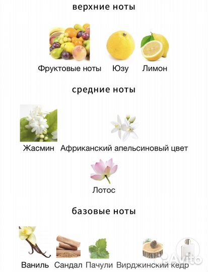 Donna Trussardi 2011 Trussardi распив