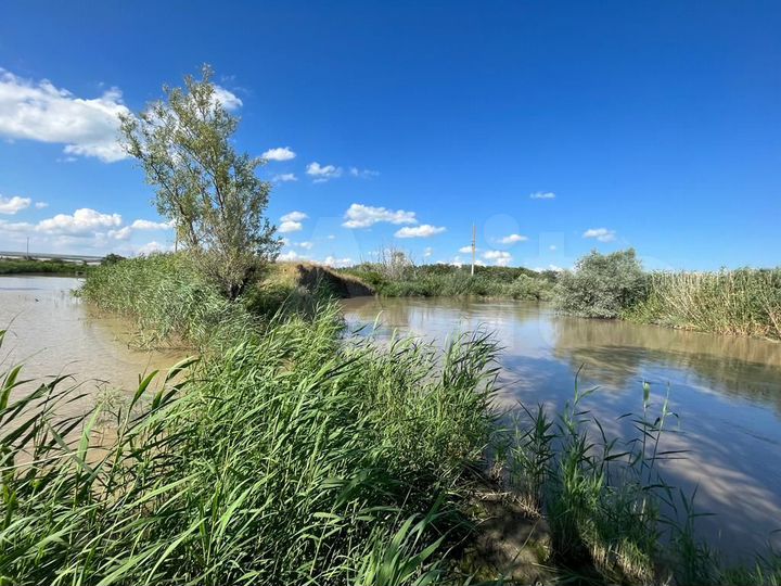 Участок 4,5 сот. (СНТ, ДНП)