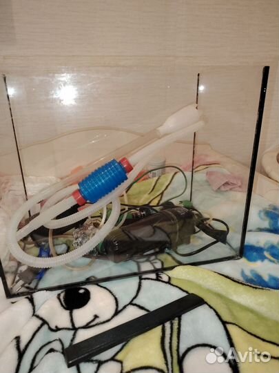 Аквариум со всей приблудой