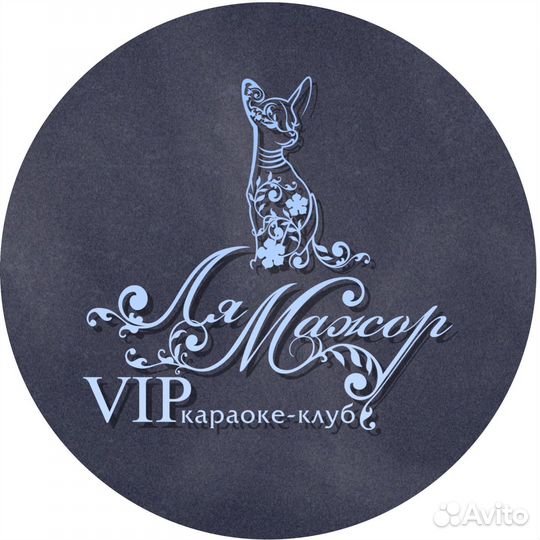 Звукорежиссер караоке