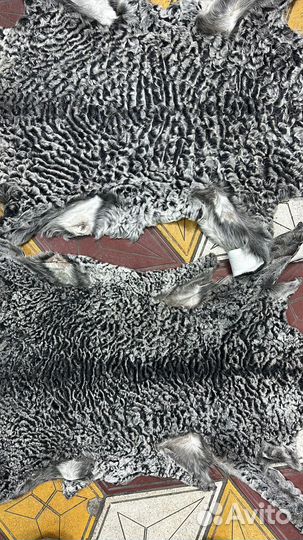 Каракуль Антика шкуры шапки